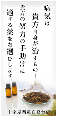 十字屋薬粧：室蘭｜伊達｜登別｜苫小牧｜札幌での漢方医学・中医学でのご相談