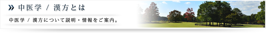 北海道室蘭市、伊達、登別、苫小牧、札幌地方での漢方・中医学での療法・治療は十字屋薬粧へ。